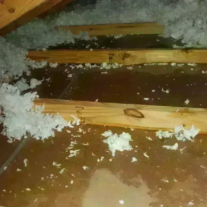 Attic Water Damage in The Woodlands, TX