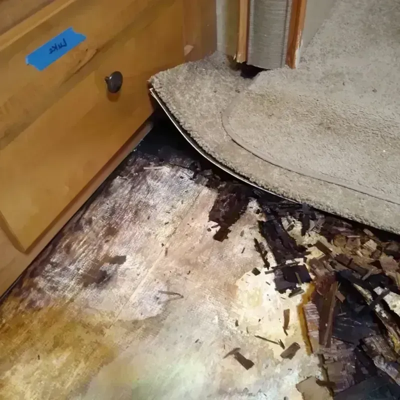 Best Wood Floor Water Damage Service in The Woodlands, TX